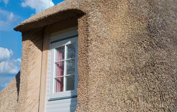 Shelfanger thatch roof disadvantages