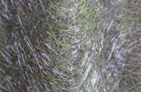 Shelfanger fibreglass roof work