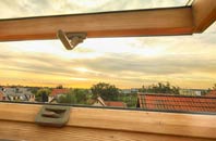 rated Shelfanger roof window companies